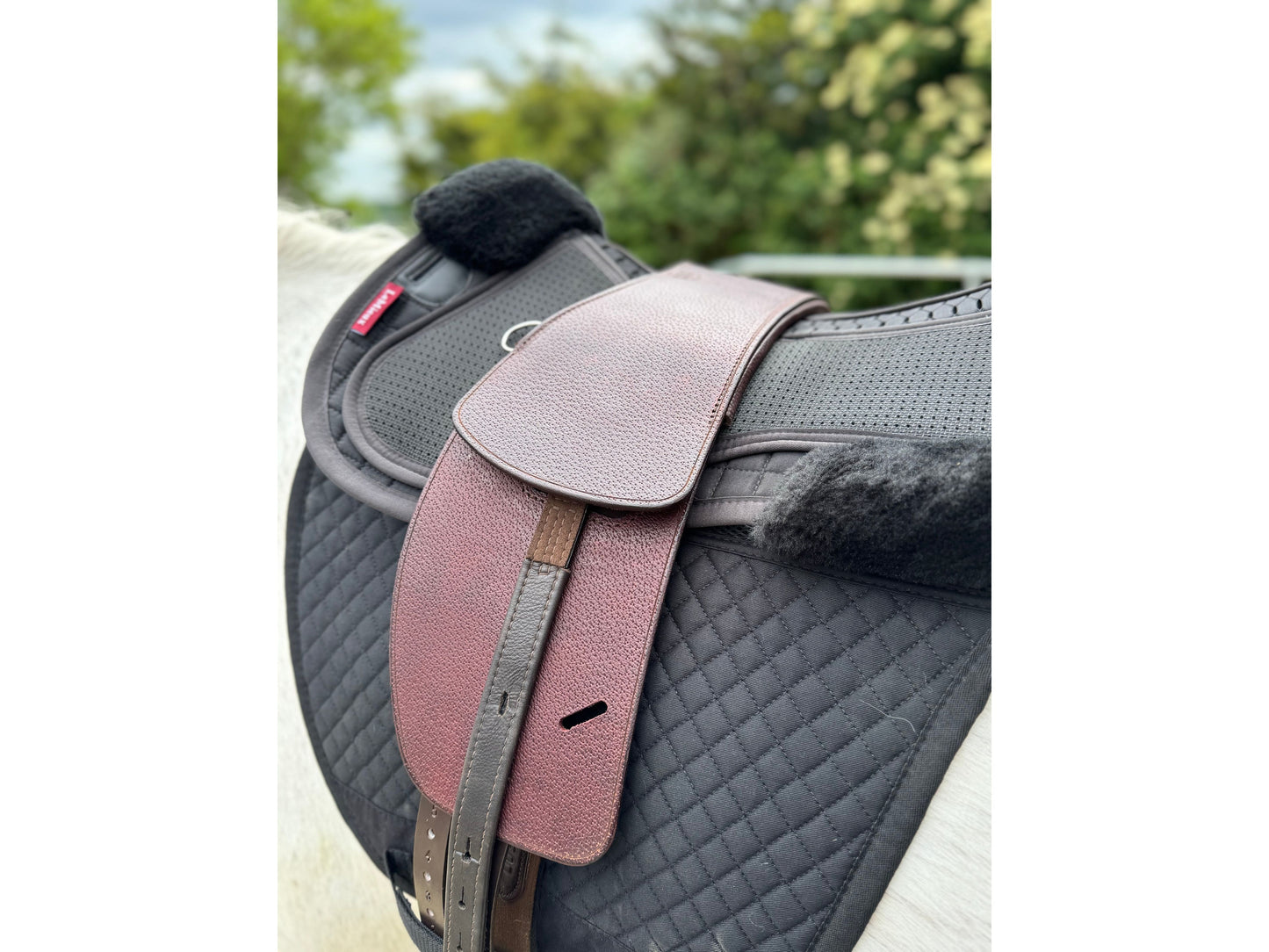 Premium Total Contact Saddle