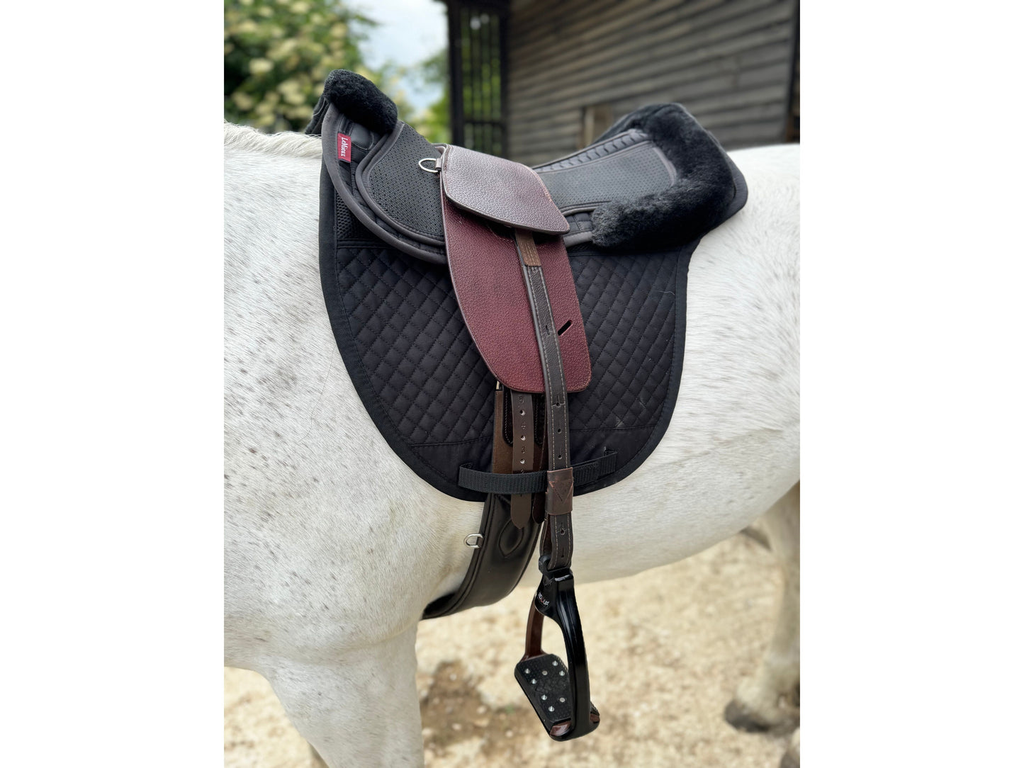Premium Total Contact Saddle
