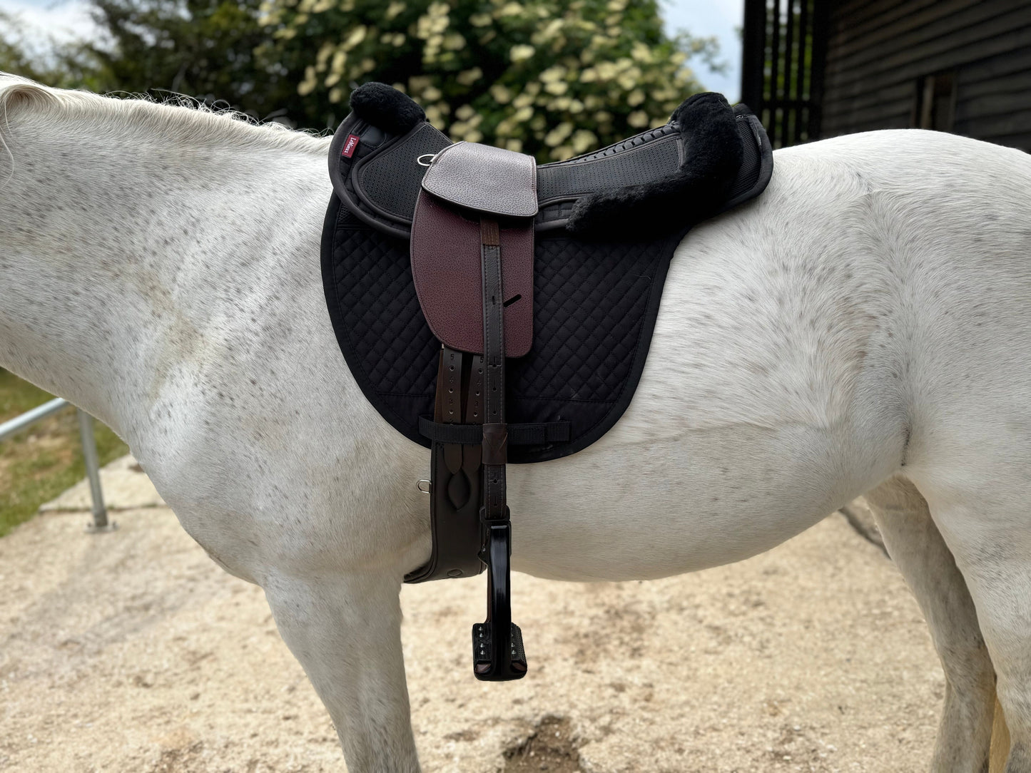 Premium Total Contact Saddle