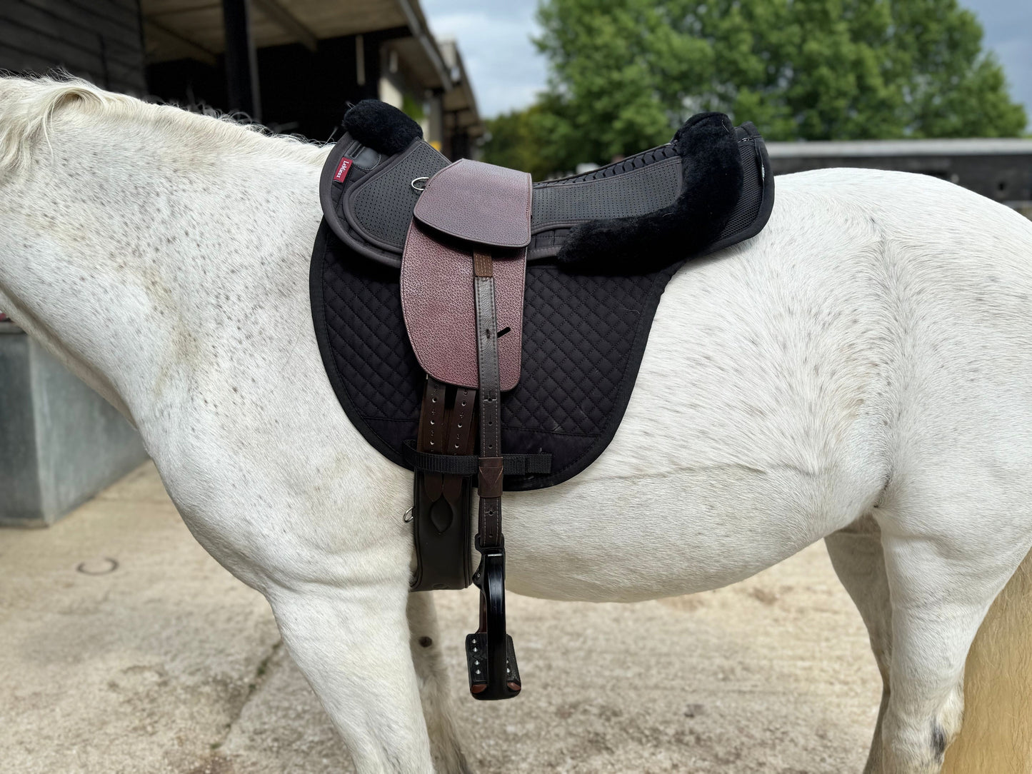 Premium Total Contact Saddle