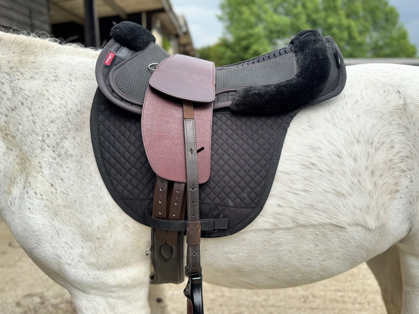 Premium Total Contact Saddle