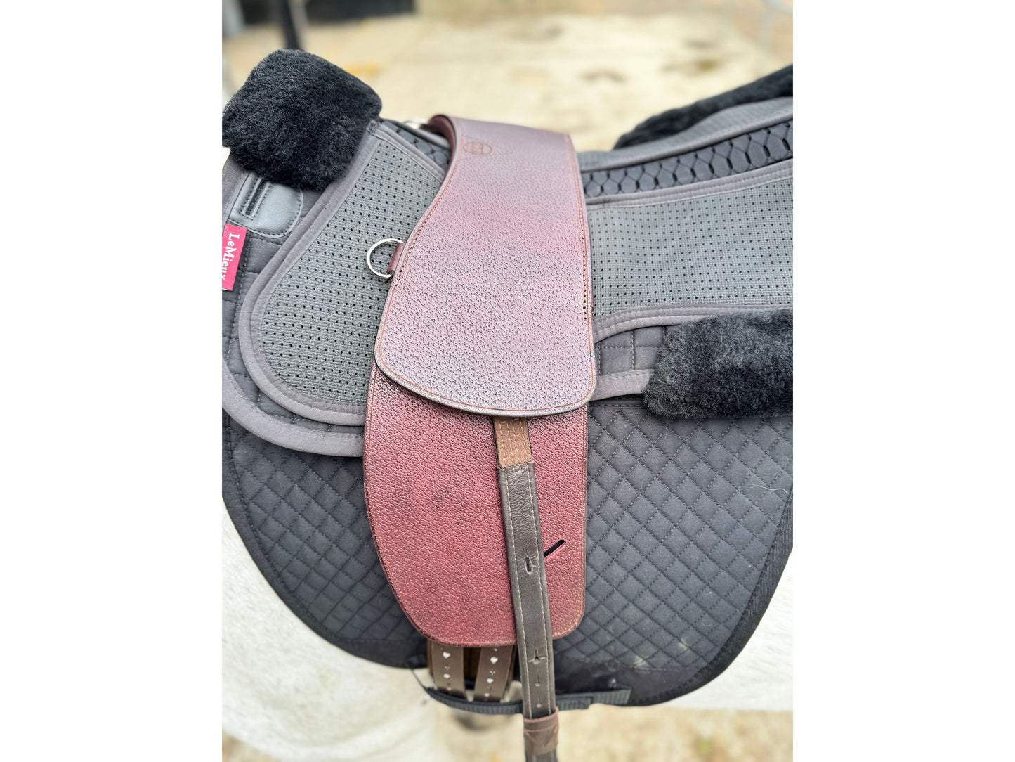 Premium Total Contact Saddle