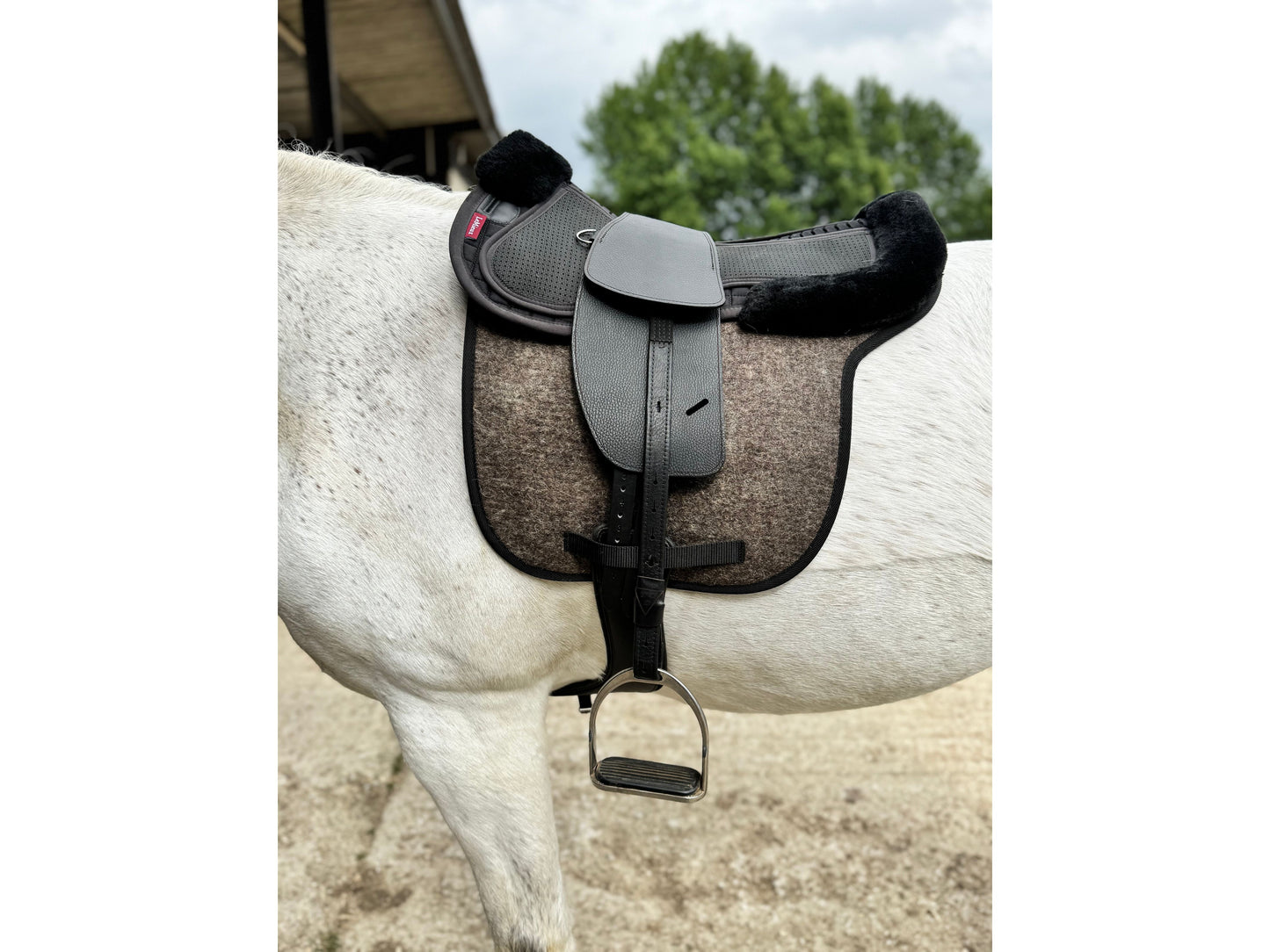 Classic Total Contact Saddle