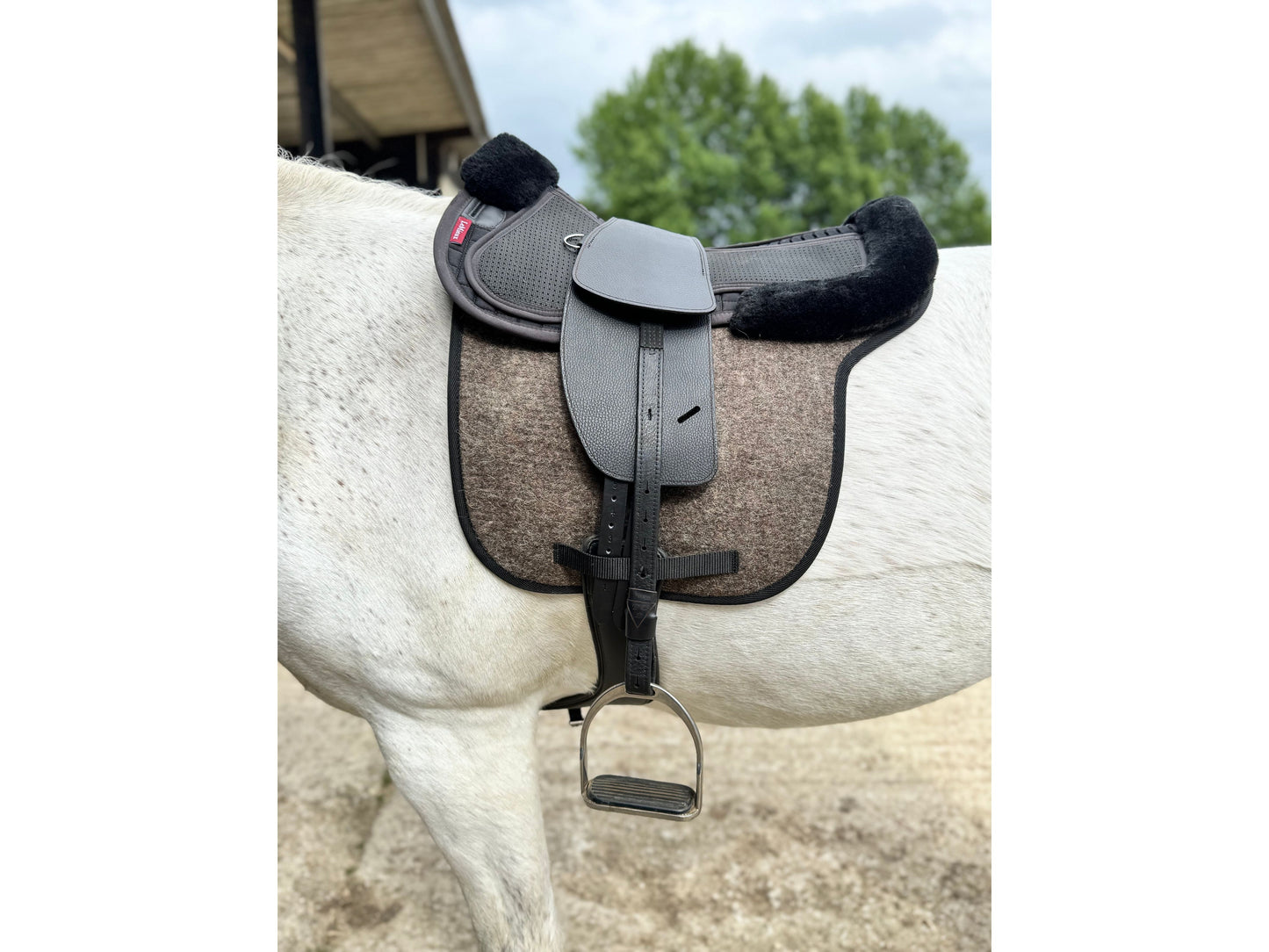 Classic Total Contact Saddle