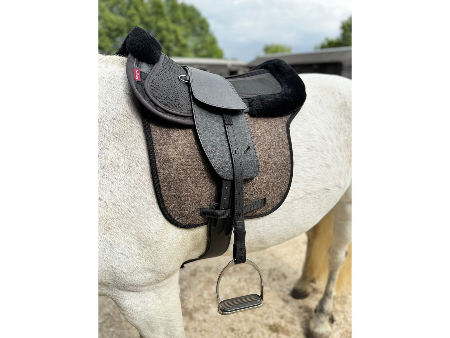 Classic Total Contact Saddle