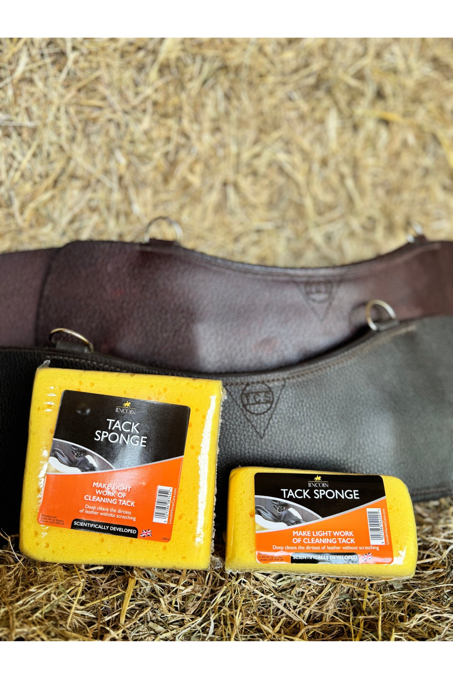 Lincoln Tack Sponge