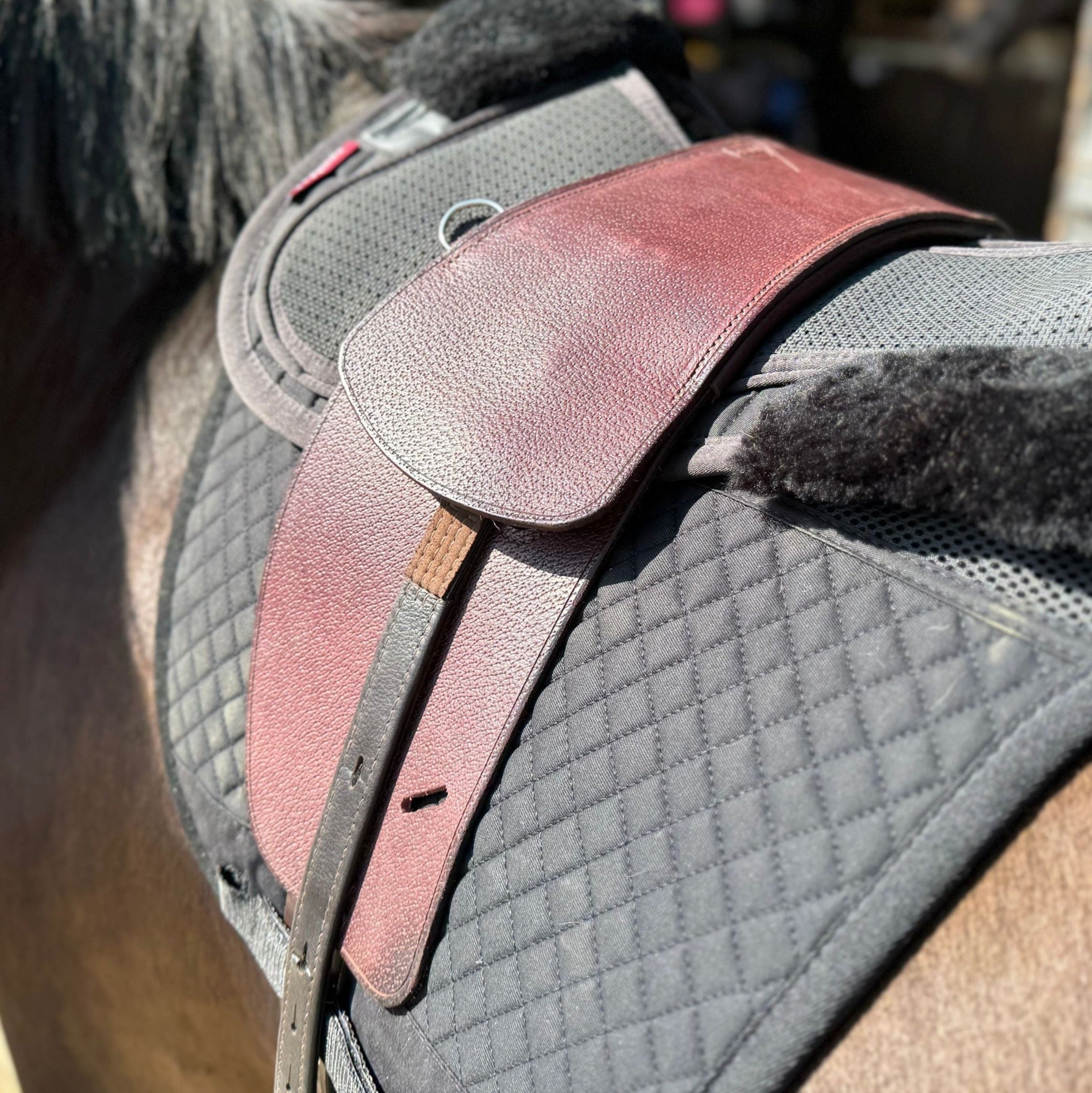 A Premium TCS saddle in our Nutmeg finish with the TCS Webbers in brown on a black saddle pad and a black half pad