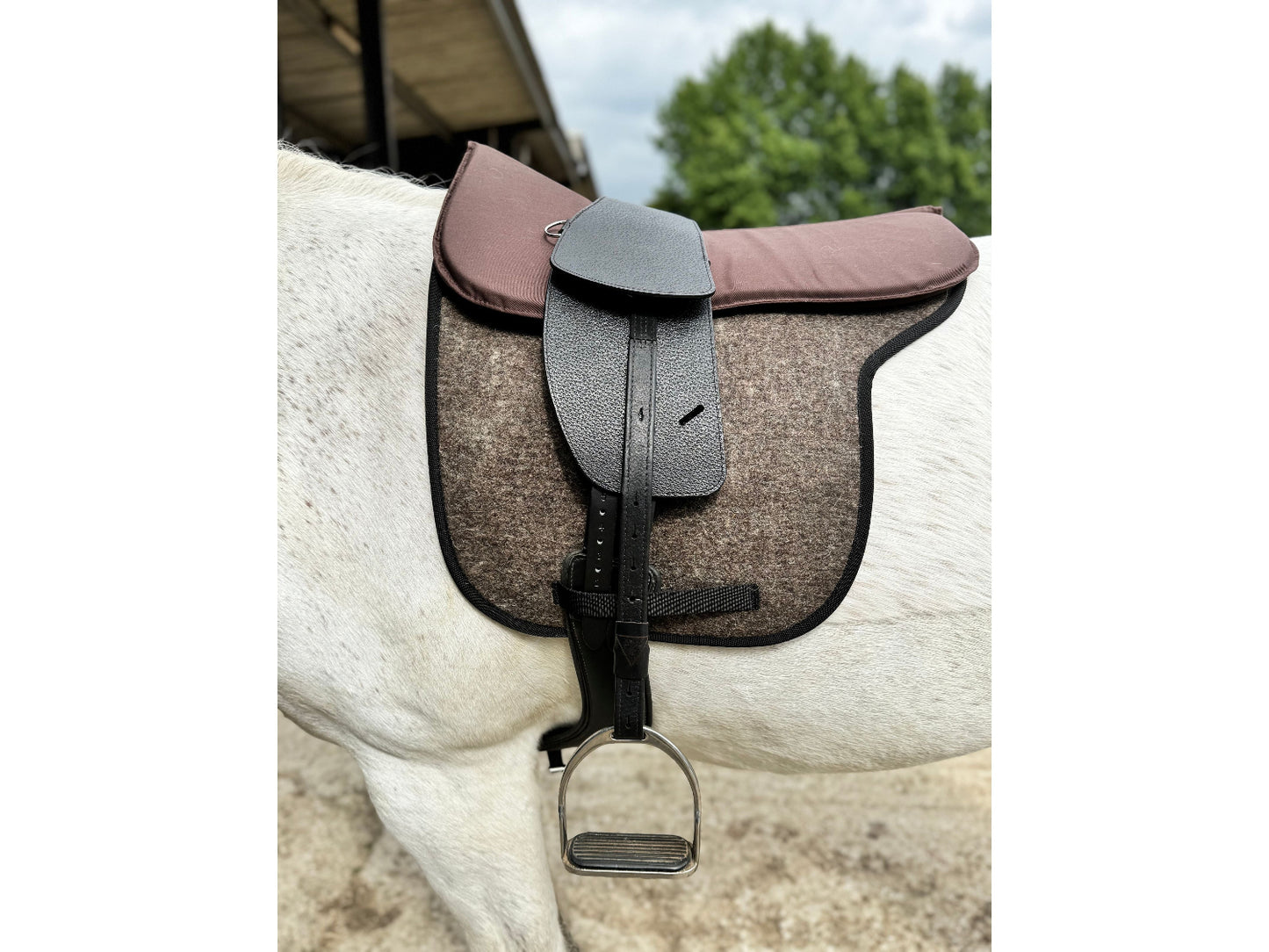 A Premium black short billet TCS saddle with black TCS webbers on a grey horse wearing a felt saddle pad and a brown half pad