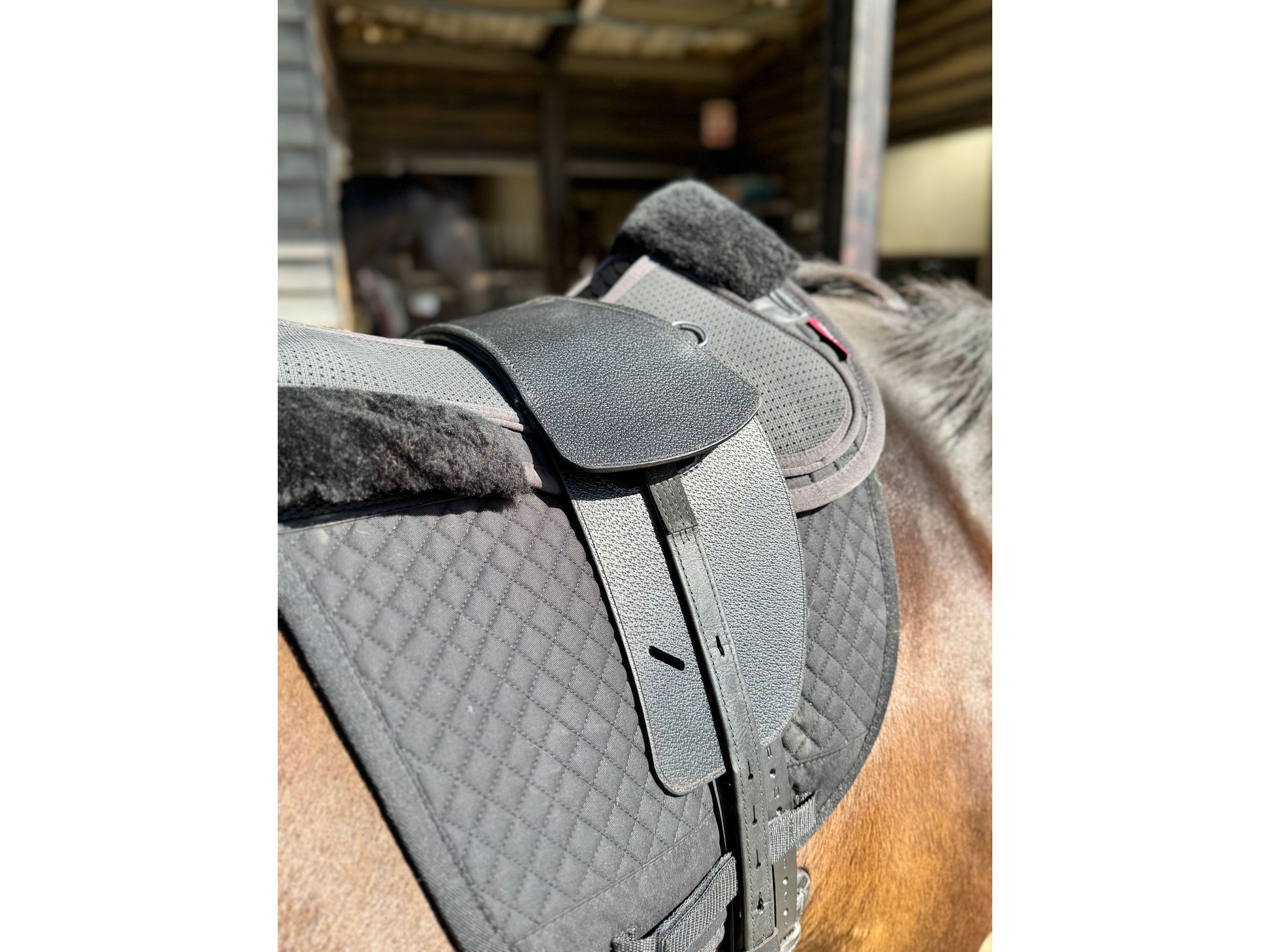 A close up of the Premium black leather TCS saddle with black TCS Webbers on a dark bay horse on a black saddle pad and a black half pad