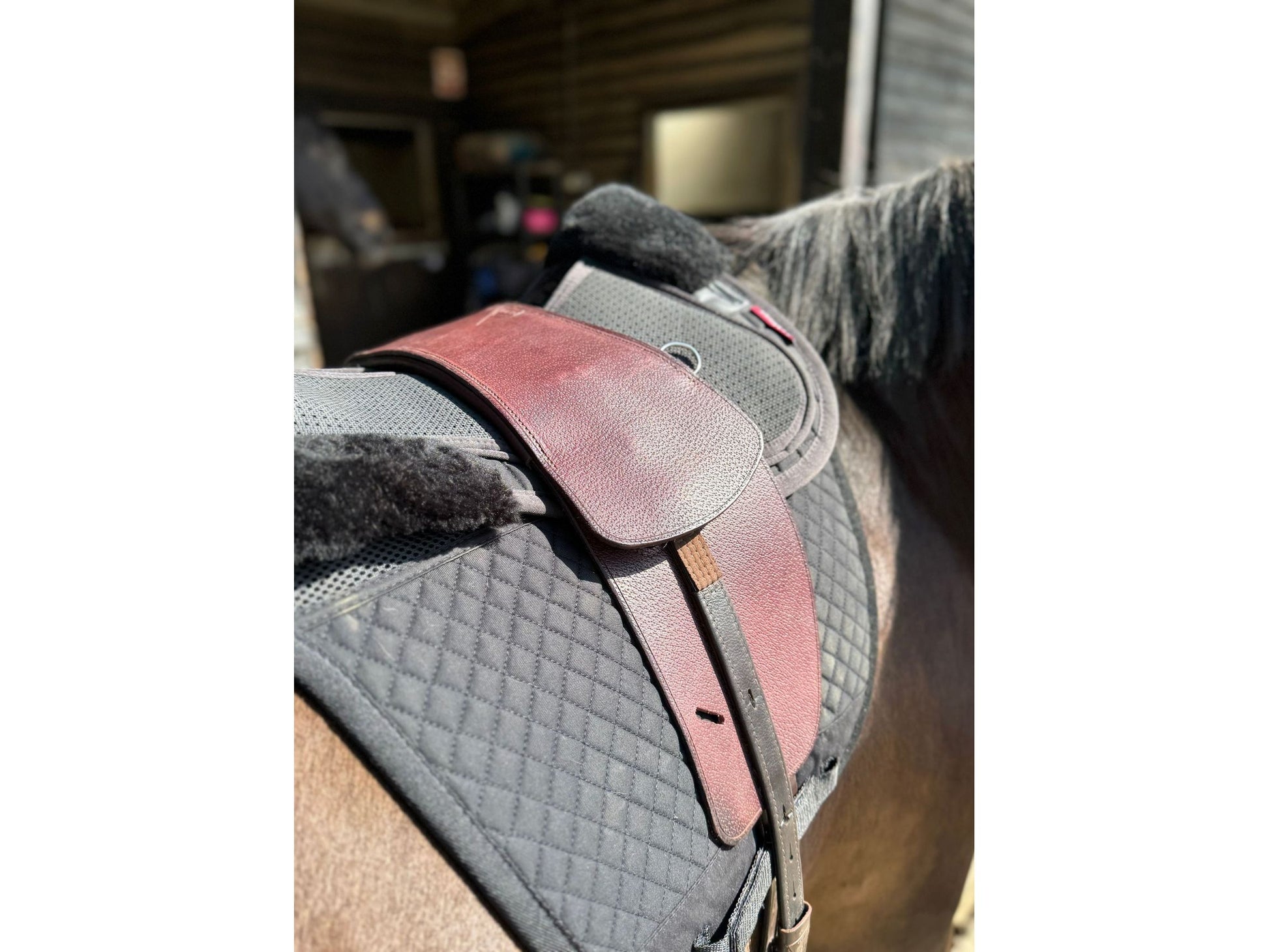 A close up picture of a Premium Nutmeg TCS saddle on a dark bay horse with brown TCS Webbers on a black saddle pad and black half pad