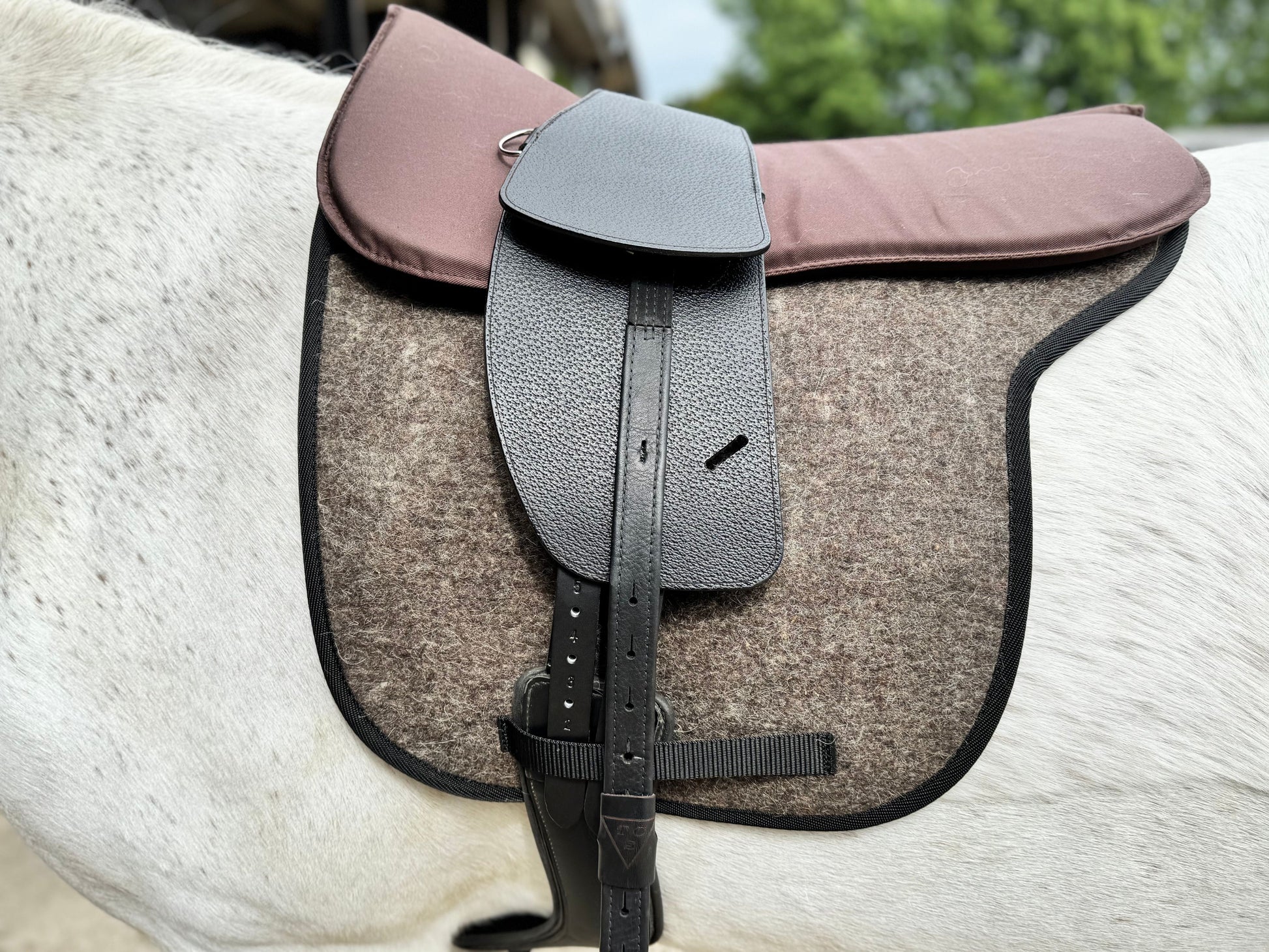 A Premium black short billet TCS saddle with black TCS webbers on a grey horse wearing a felt saddle pad and a brown half pad