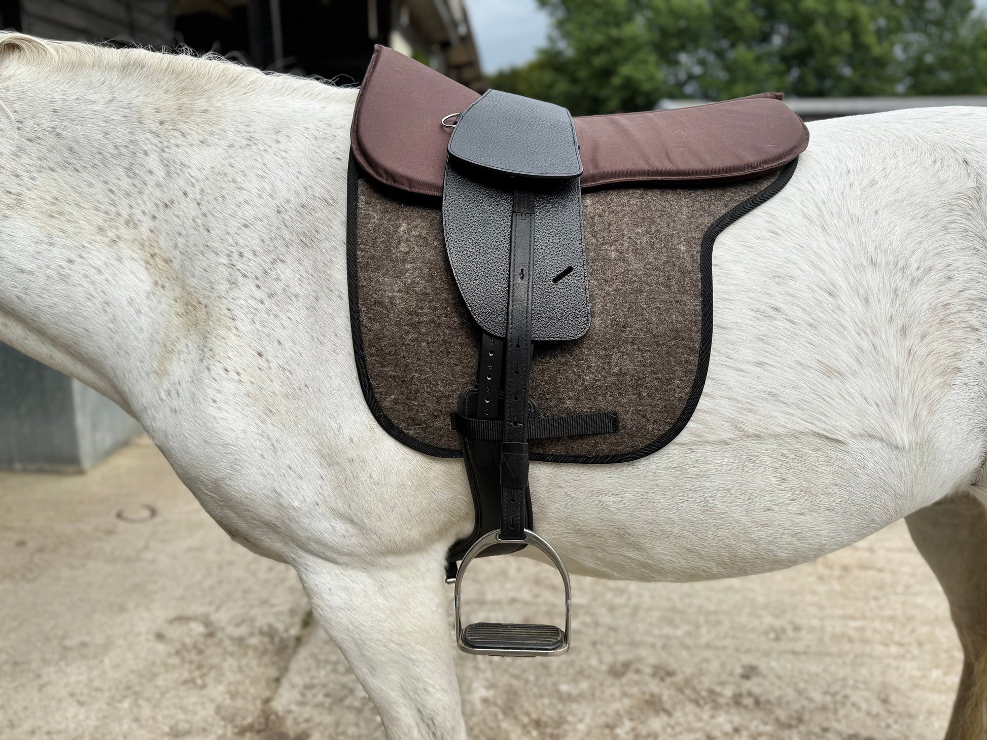 A Premium black short billet TCS saddle with black TCS webbers on a grey horse wearing a felt saddle pad and a brown half pad