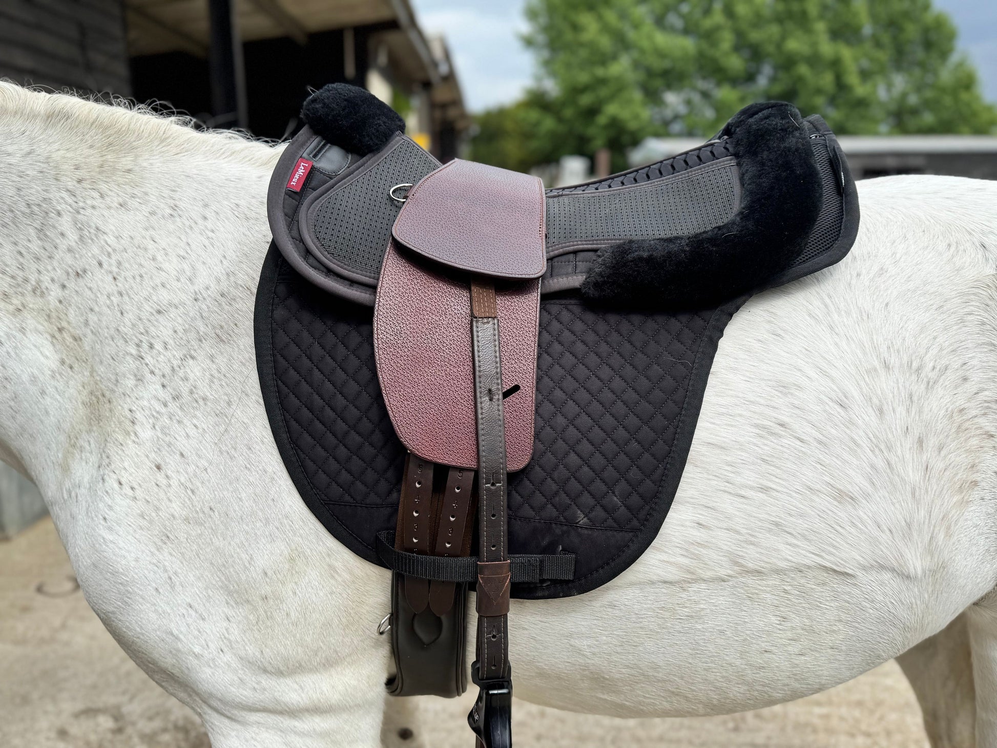 A premium nutmeg TCS saddle with brown TCS Webbers on a grey horse wearing a black saddle pad and black half pad