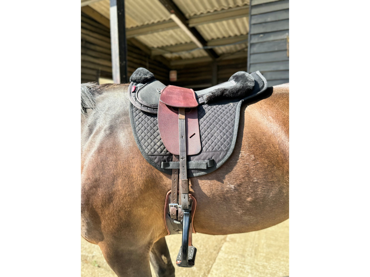 A Premium Nutmeg TCS Saddle on a dark bay horse with a dressage girth and brown TCS webbers n a black saddle pad and a black half pad