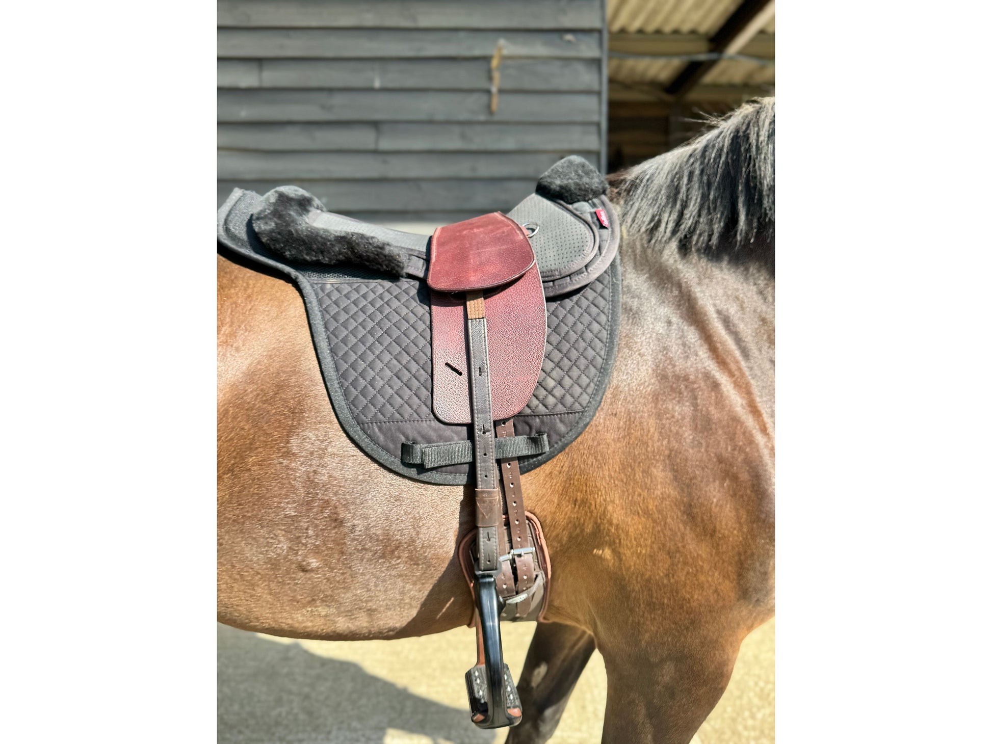 A Premium Nutmeg TCS saddle on a dark bay horse with brown TCS Webbers on a black saddle pad and black half pad