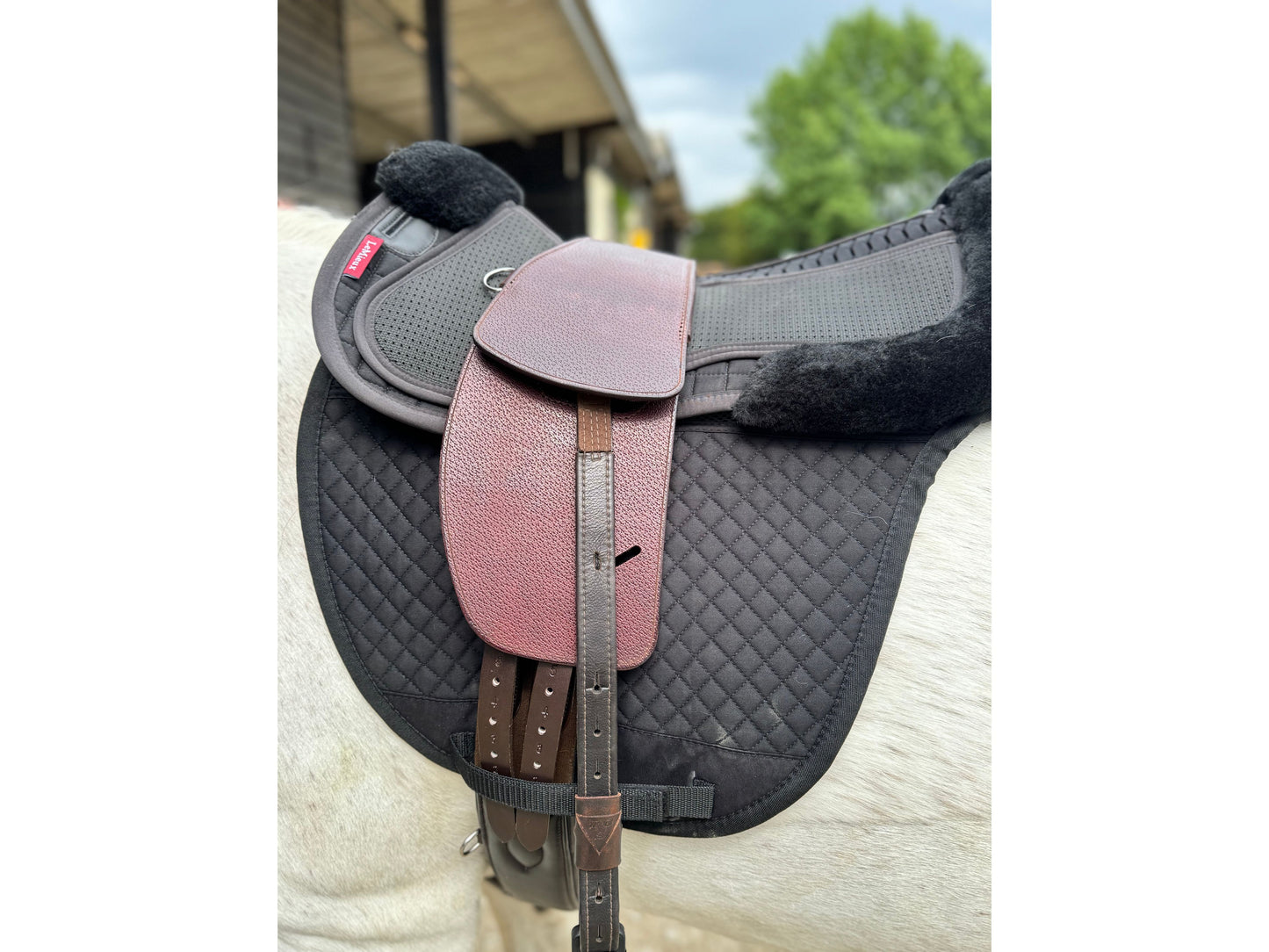 A Premium nutmeg TCS saddle with bown TCS Webbers on a grey horse wearing a black saddle pad and black half pad