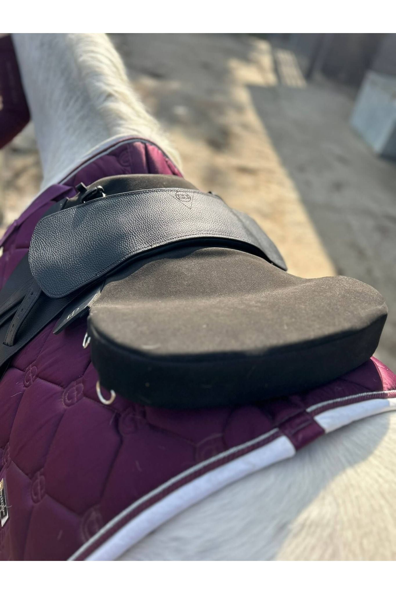 A black classic total contact treeless saddle and a black equi-suede saddle seat pad on a grey horse wearing a pink saddle pad