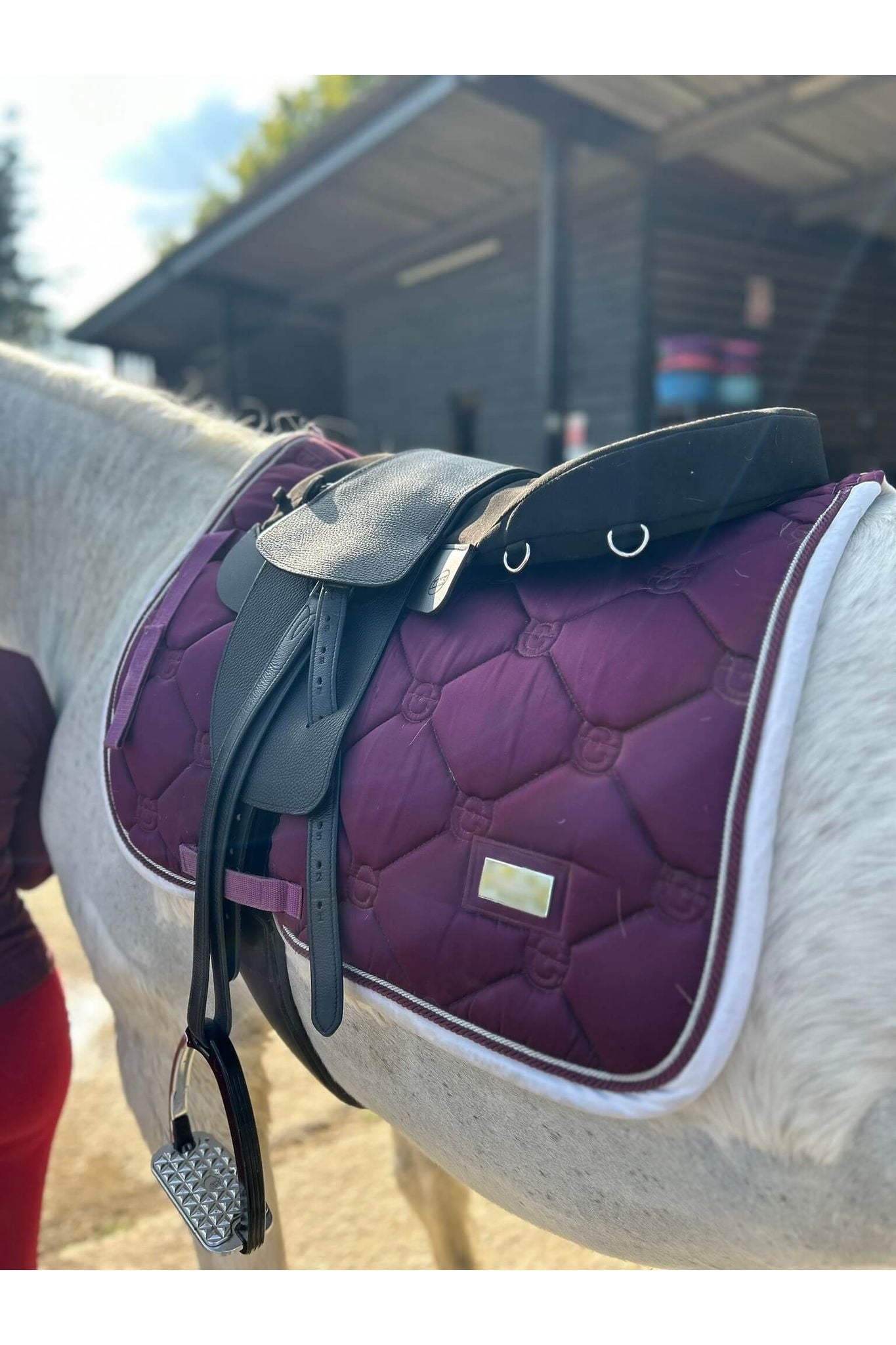 A black classic total contact treeless saddle and a black equi-suede saddle seat pad on a grey horse wearing a pink saddle pad