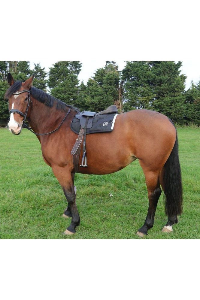 A bay horse wearing a brown classic total contact treeless saddle and a premium brown leather saddle seat