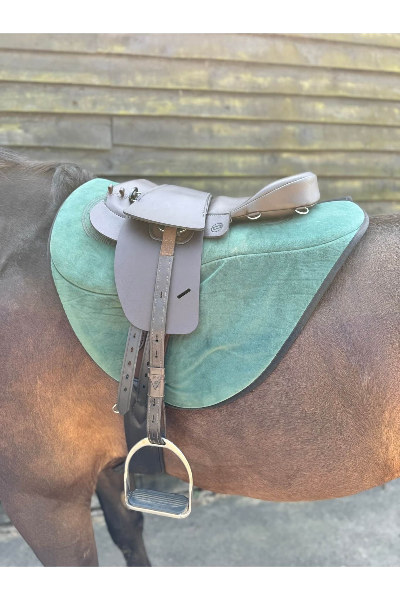 A brown synthetic treeless total contact saddle and a brown synthetic saddle seat pad on a dark bay horse wearing a green saddle pad