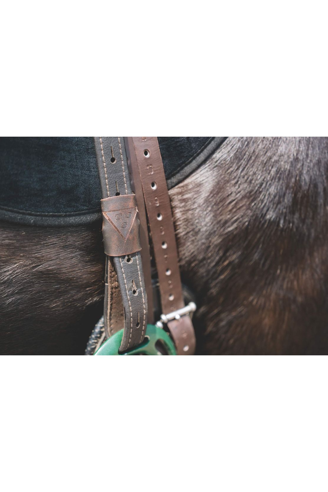 Brown TCS webbers toggle detail