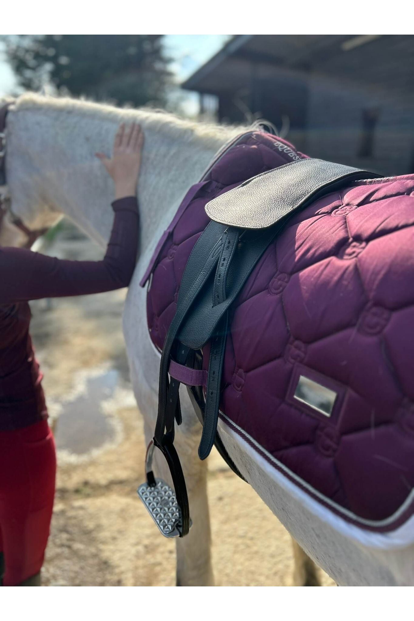 A classic black short billet treeless Total Contact Saddle on a pink saddle pad on a grey pony