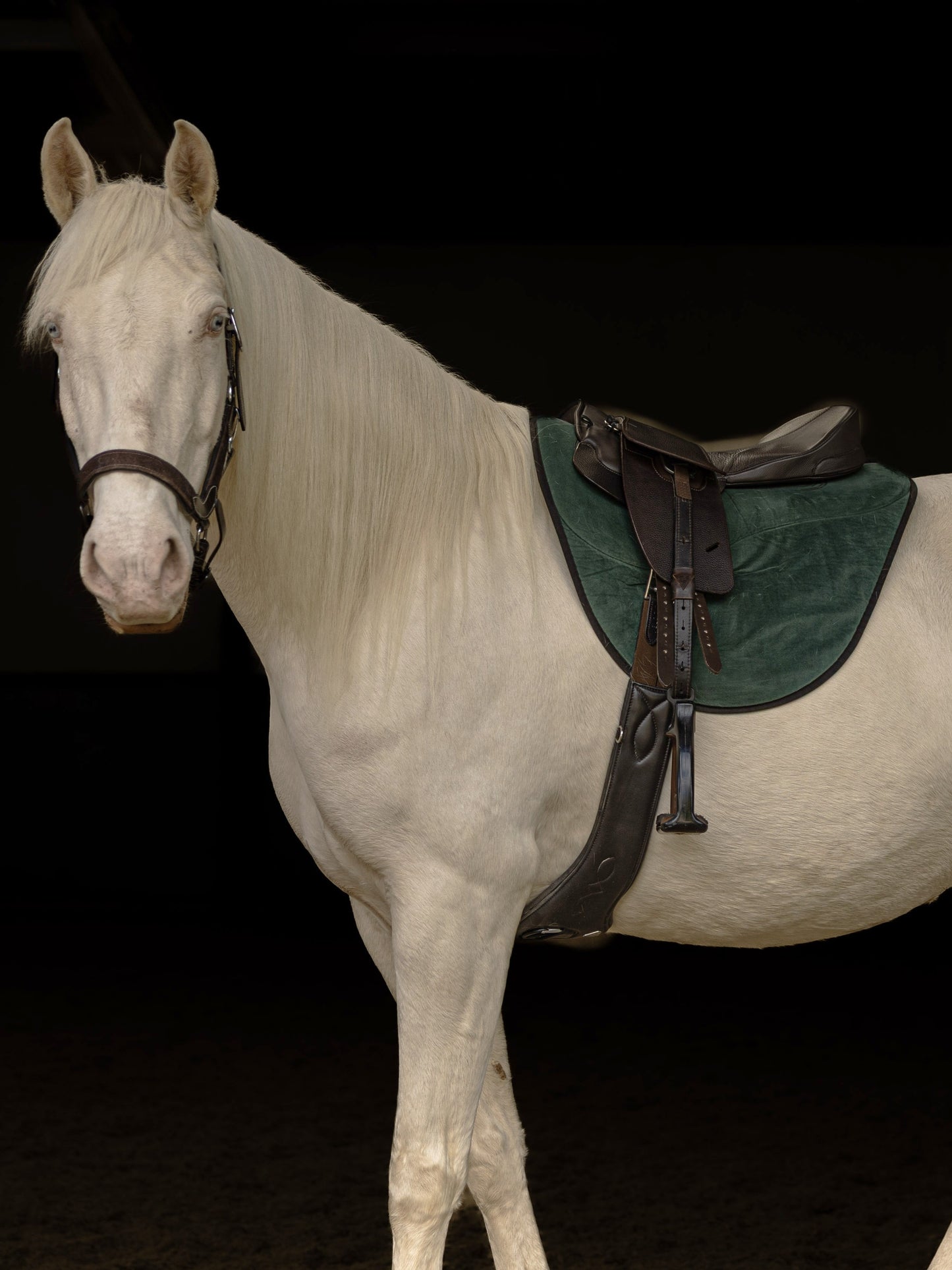 Premium Saddle Seat
