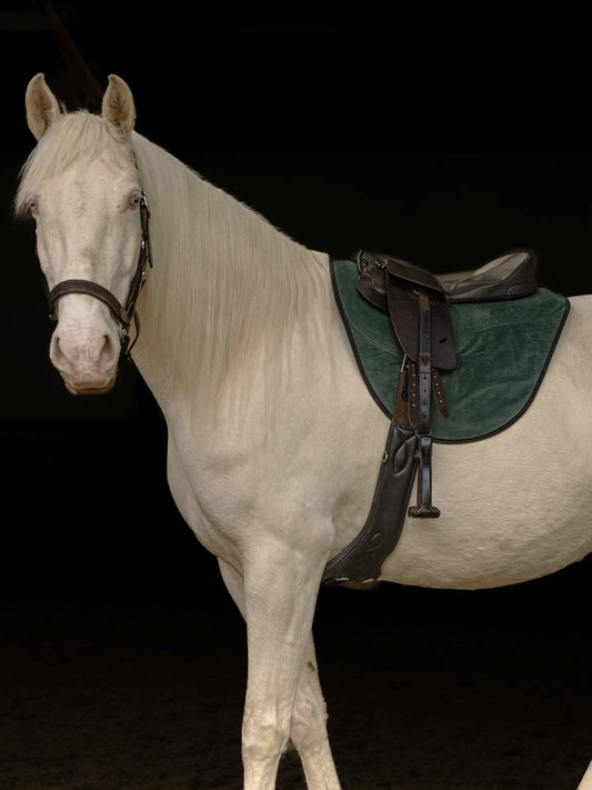 Premium Saddle Seat