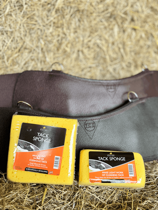 Lincoln Tack Sponge