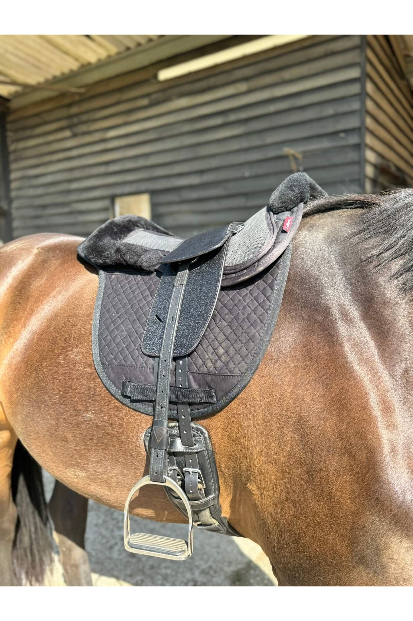 A premium black total contact treeless saddle on a dark bay horse wearing a black addle pad and a black half pad
