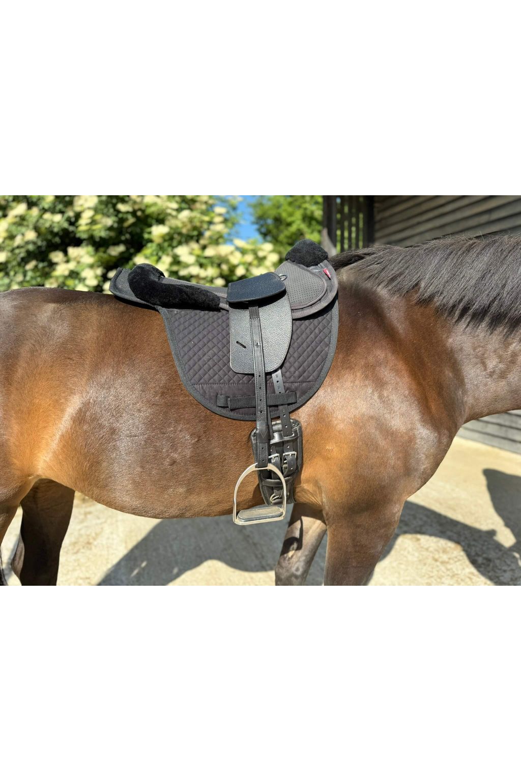 A premium black total contact treeless saddle on a dark bay horse wearing a black addle pad and a black half pad