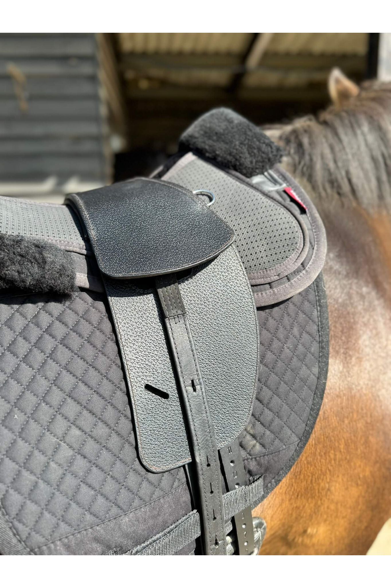 A premium black total contact treeless saddle on a dark bay horse wearing a black addle pad and a black half pad