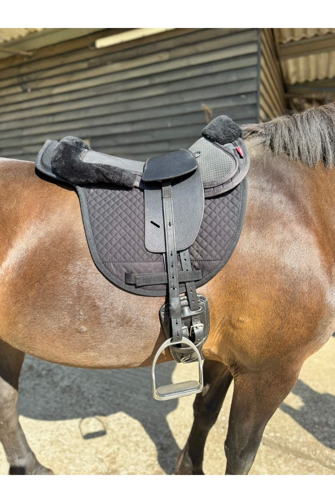 A premium black total contact treeless saddle on a dark bay horse wearing a black addle pad and a black half pad