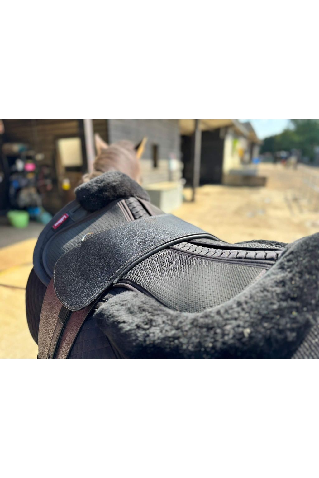 A premium black total contact treeless saddle on a dark bay horse wearing a black saddle pad and a black half pad