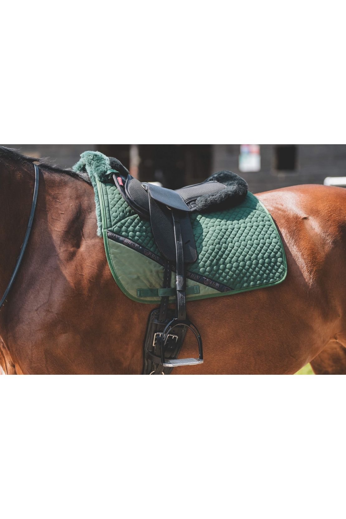 A premium black total contact treeless saddle on a bay horse wearing a green addle pad and a black half pad