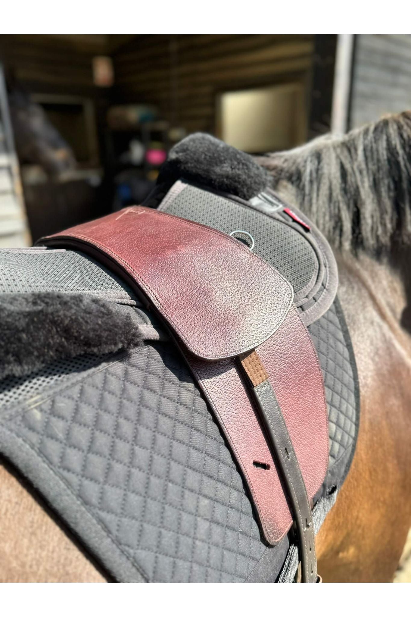A premium nutmeg total contact treeless saddle on a dark bay horse wearing a black saddle pad and a black half pad