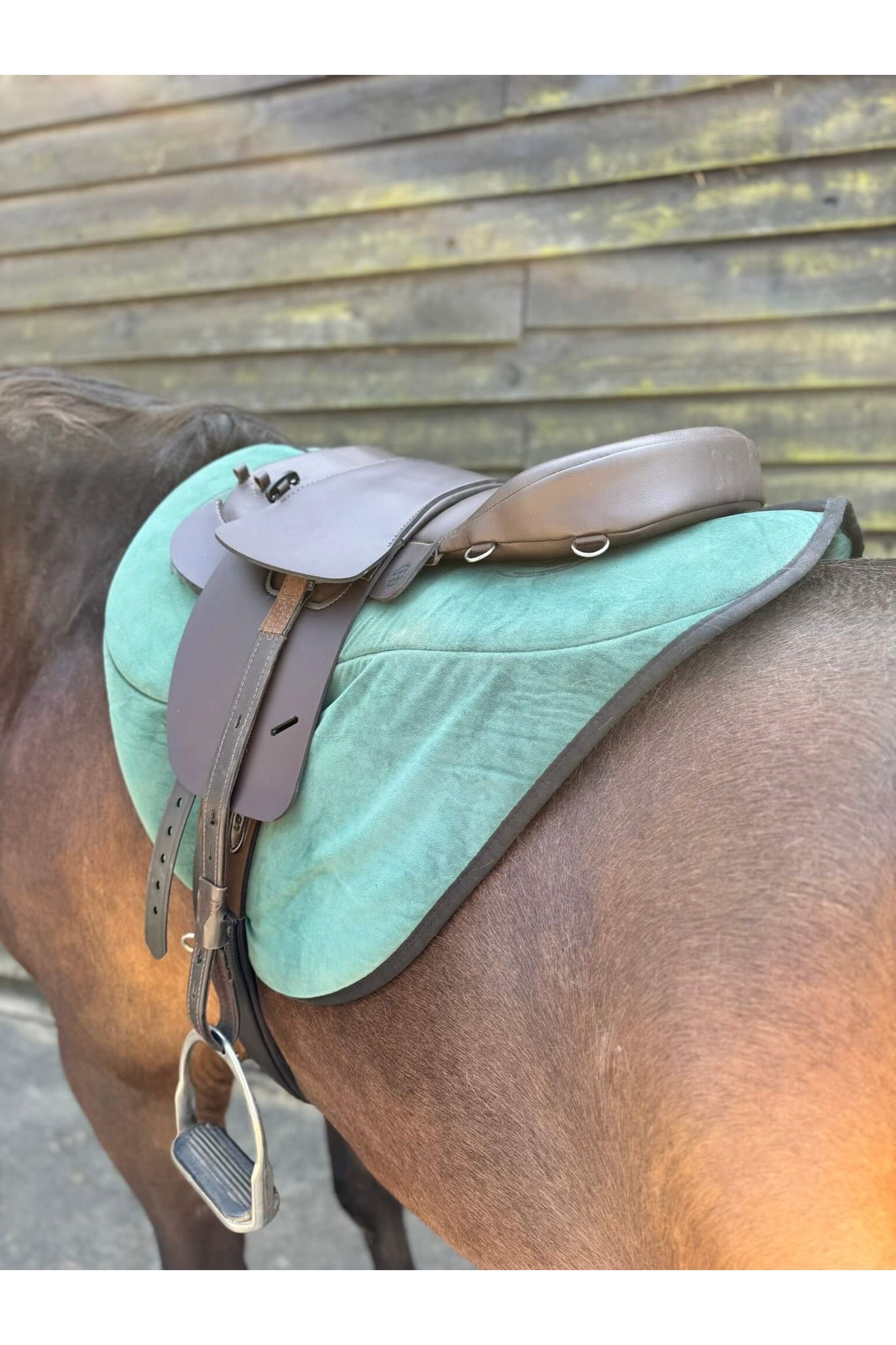 A brown synthetic treeless total contact saddle and a brown synthetic saddle seat pad on a dark bay horse wearing a green saddle pad