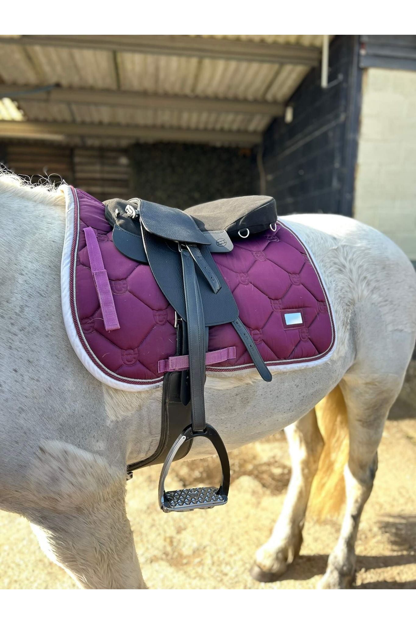 A black classic total contact treeless saddle and a black equi-suede saddle seat pad on a grey horse wearing a pink saddle pad