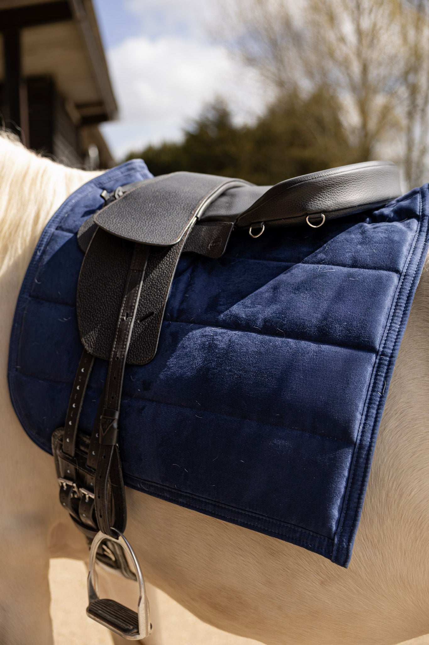 Saddle Seat Pad