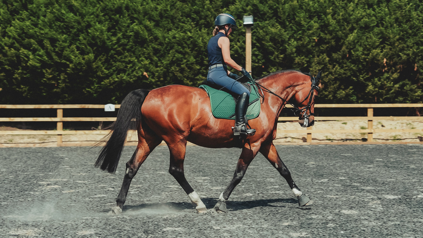 Treeless Premium Total Contact Saddle