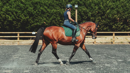 Treeless Premium Total Contact Saddle
