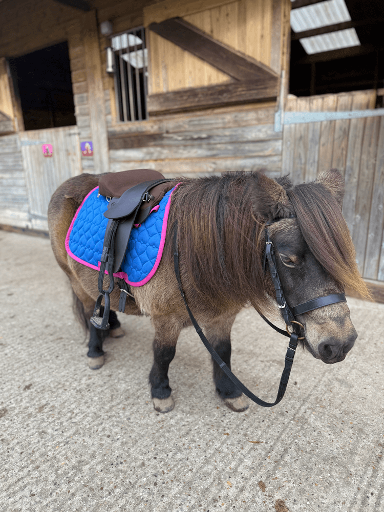 Children's Saddle Seat Pad