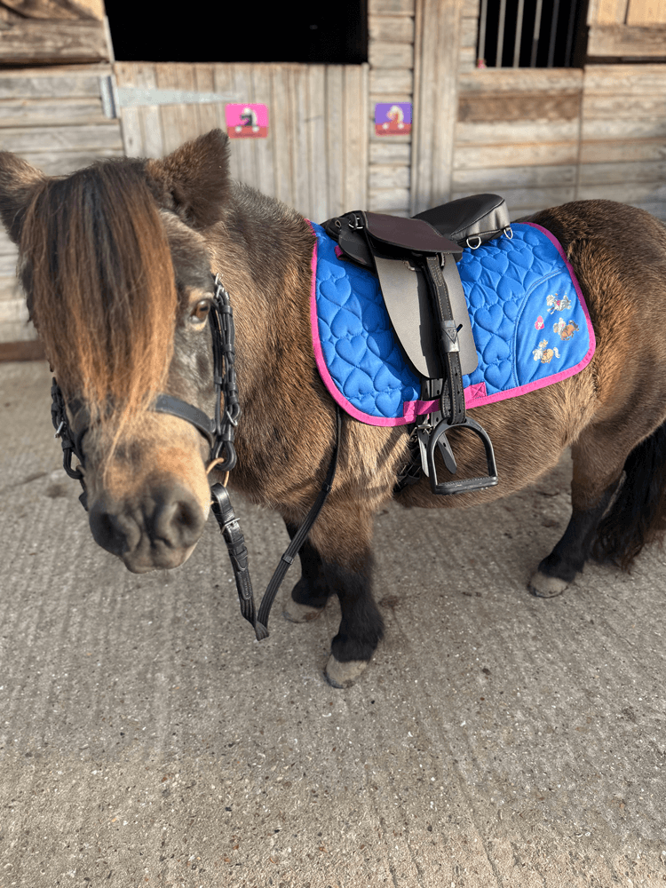 Children's Saddle Seat Pad