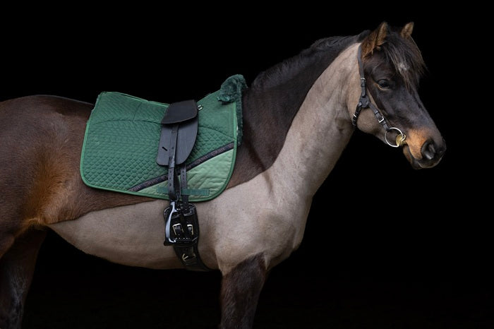 Treeless Classic Total Contact Saddle