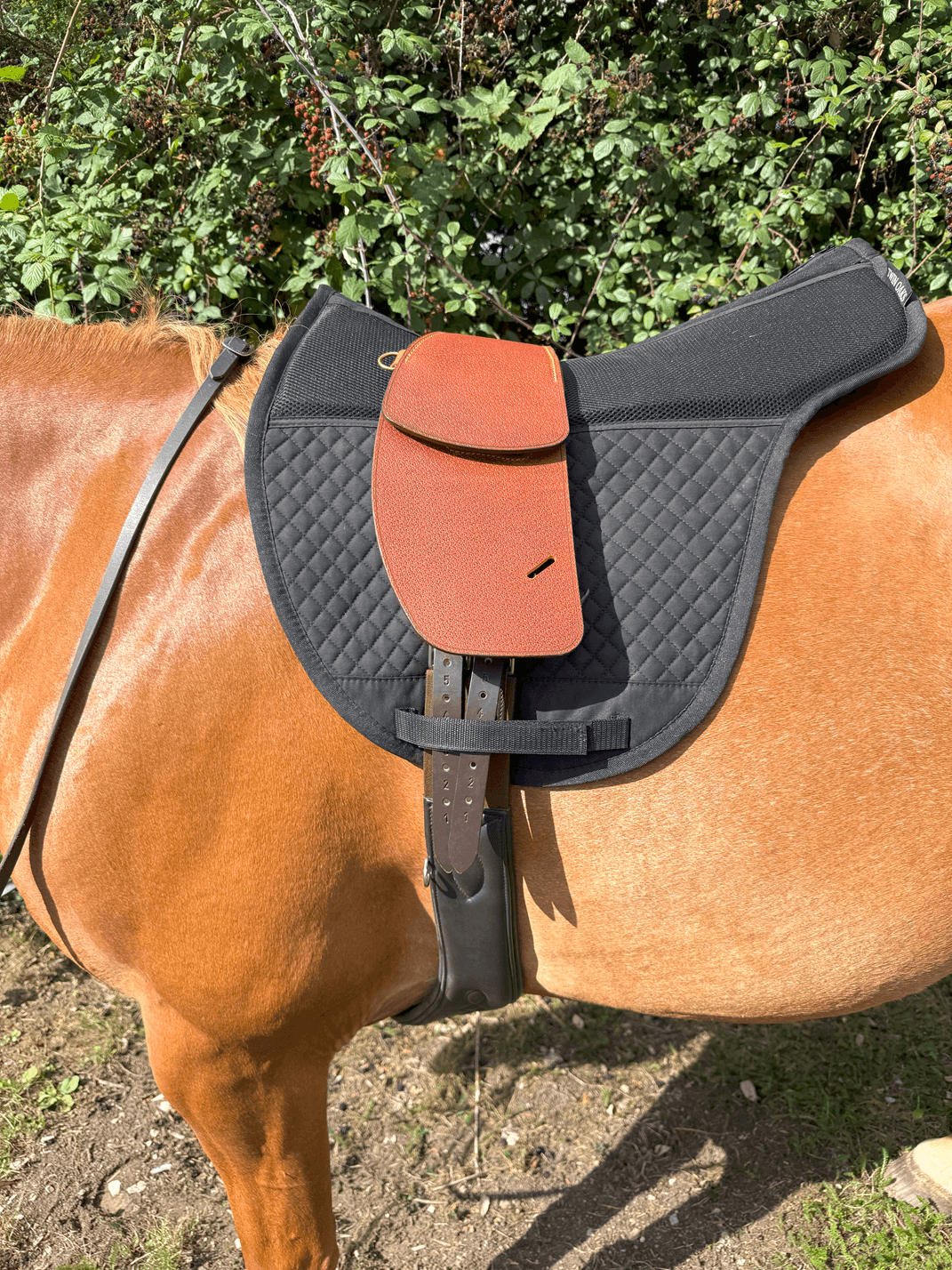 Treeless Premium Total Contact Saddle