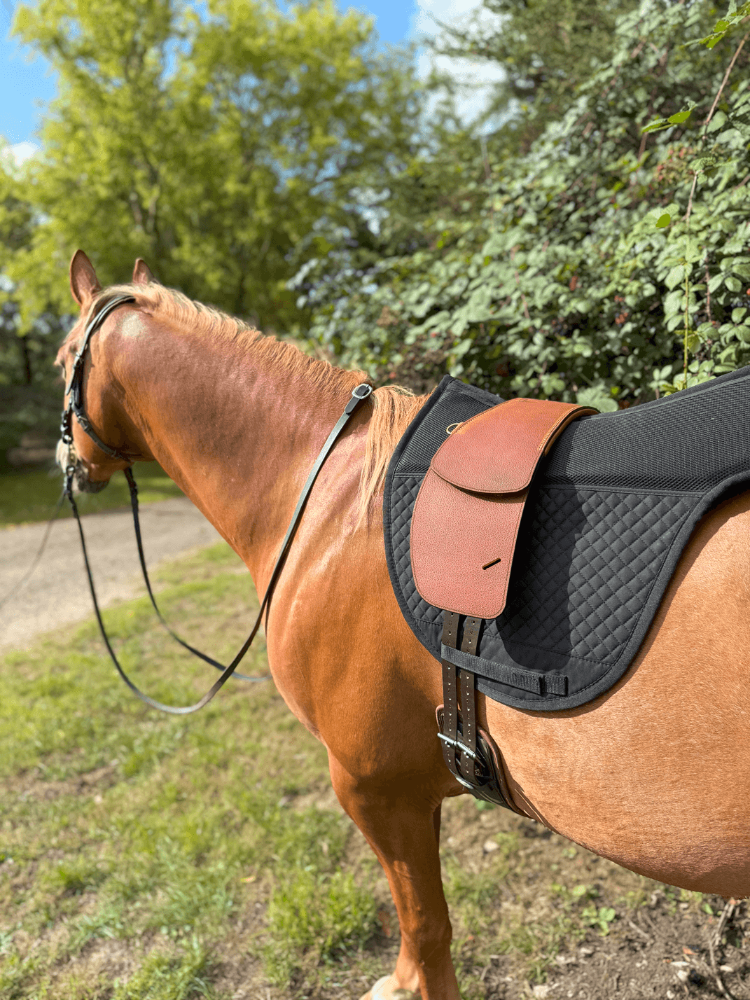 Treeless Premium Total Contact Saddle