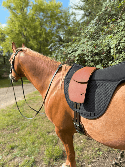 Treeless Premium Total Contact Saddle
