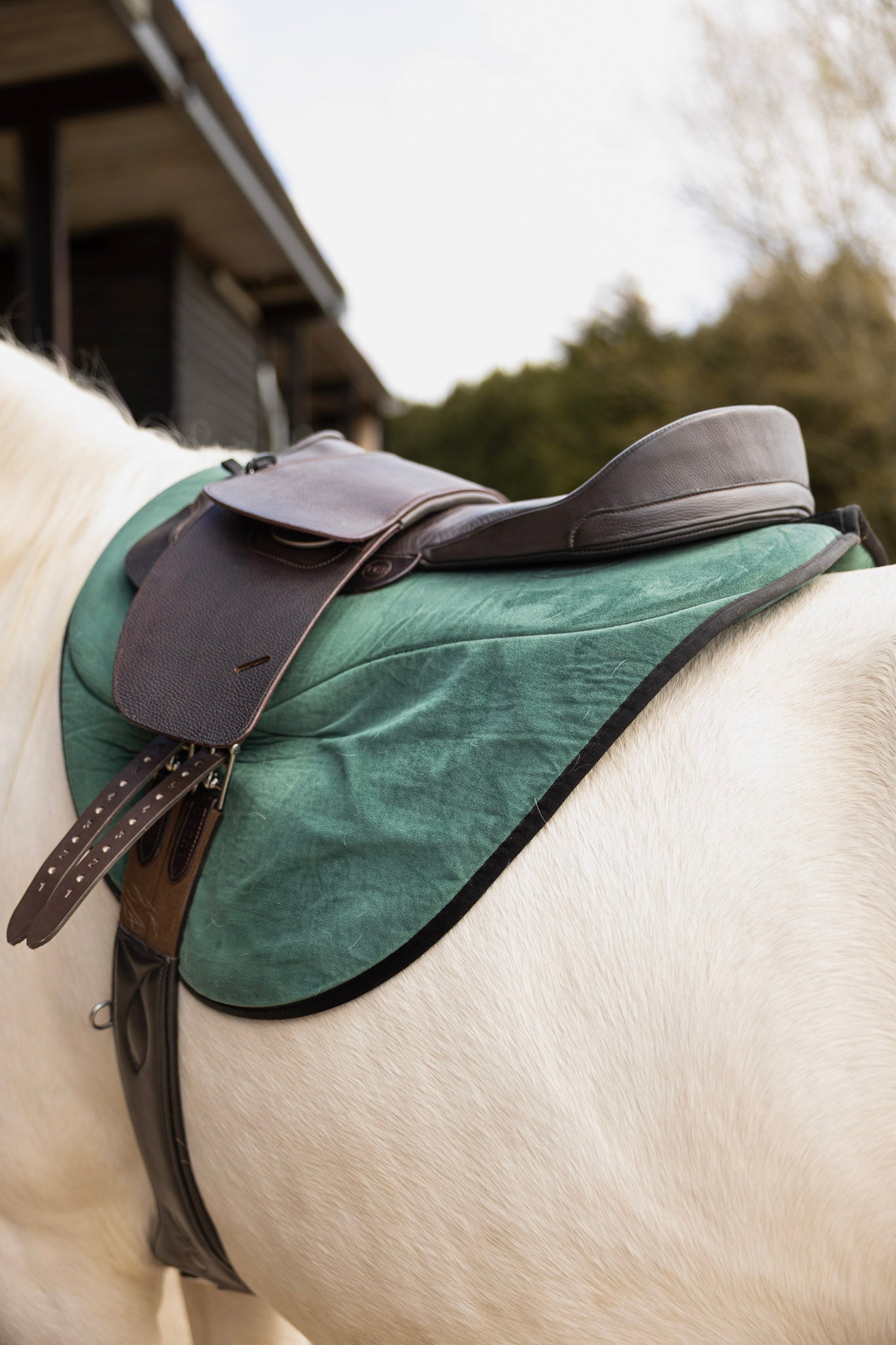 Premium Saddle Seat