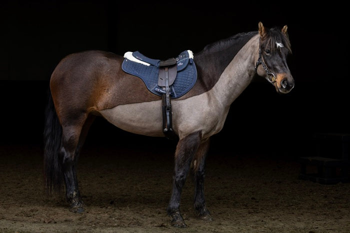 Treeless Classic Total Contact Saddle