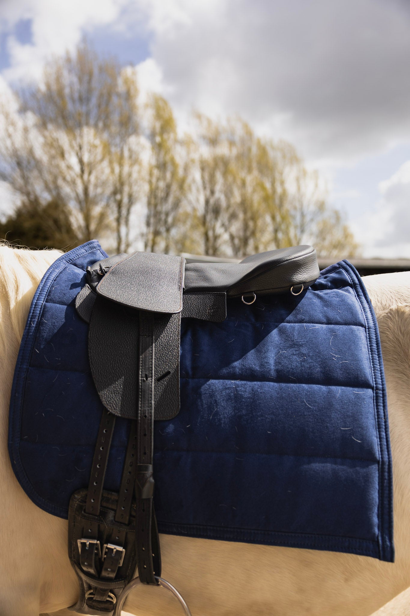 Saddle Seat Pad